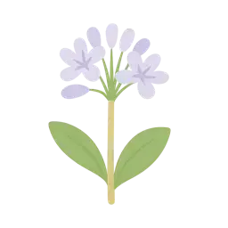 Brittany illustration