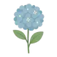 flower illustration