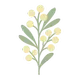 flower illustration