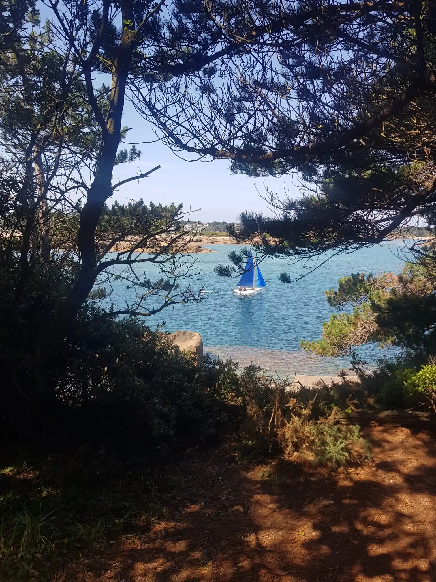 Ploumanach landscape